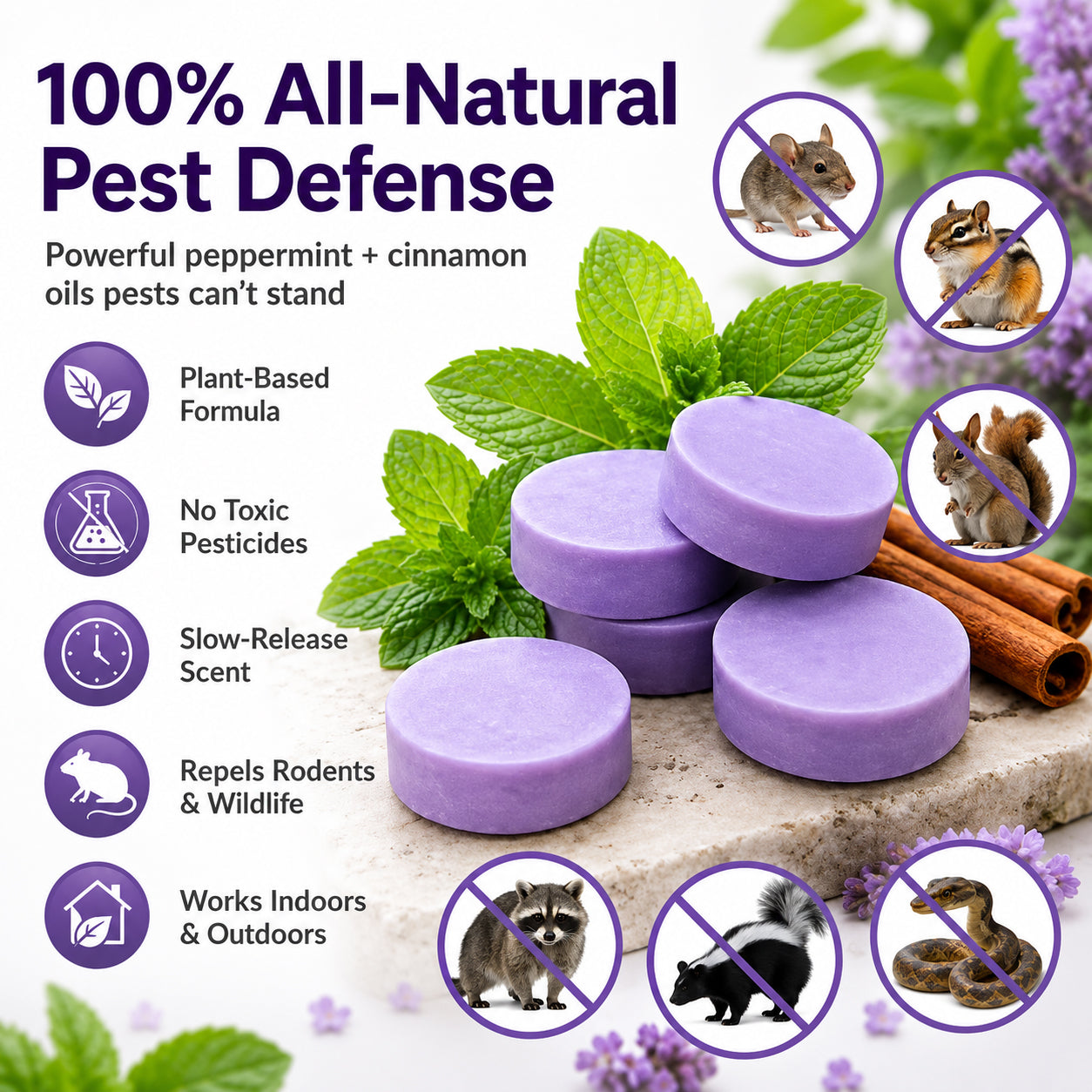 🔥Hot Sale 50% OFF🔥✅ 10,000+ Happy Customers 🐭 All-Natural Peppermint & Cinnamon Pest & Rodent Repellent Pucks 🕷️🐍