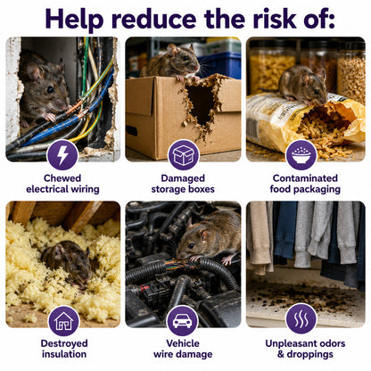 🔥Hot Sale 50% OFF🔥✅ 10,000+ Happy Customers 🐭 All-Natural Peppermint & Cinnamon Pest & Rodent Repellent Pucks 🕷️🐍