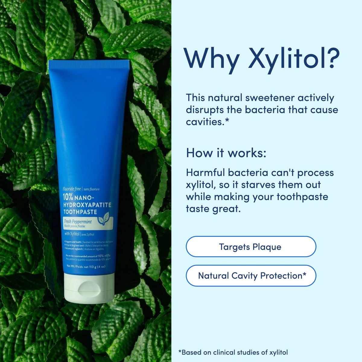 Fluoride Free Nano Hydroxyapatite Toothpaste with Fresh Mint